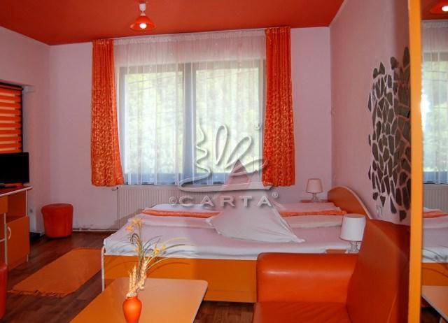 Гостевой дом Casa Braneana Бран-12